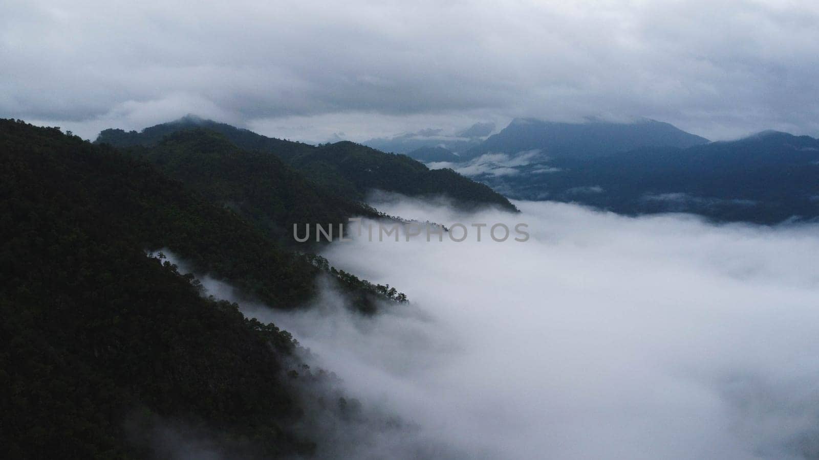 Aerial view of the trees in the valley with fog in the morning. Landscape of misty valley and mountain clouds in thailand. The dawn of the mountains with the sea of mist.