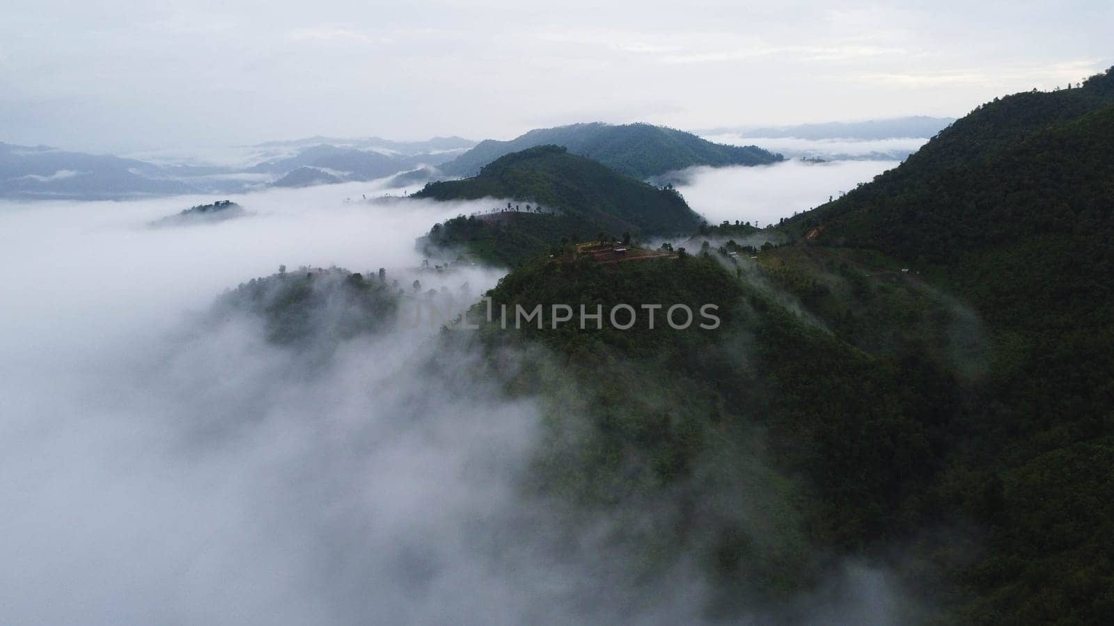 Aerial view of the trees in the valley with fog in the morning. Landscape of misty valley and mountain clouds in thailand. The dawn of the mountains with the sea of mist.