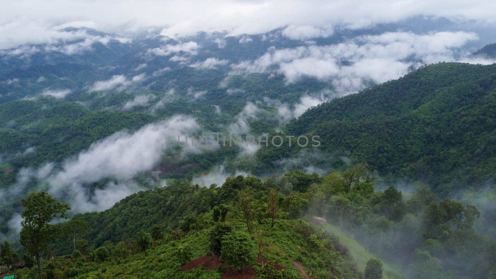 Aerial view of the trees in the valley with fog in the morning. Landscape of misty valley and mountain clouds in thailand. The dawn of the mountains with the sea of mist. by TEERASAK