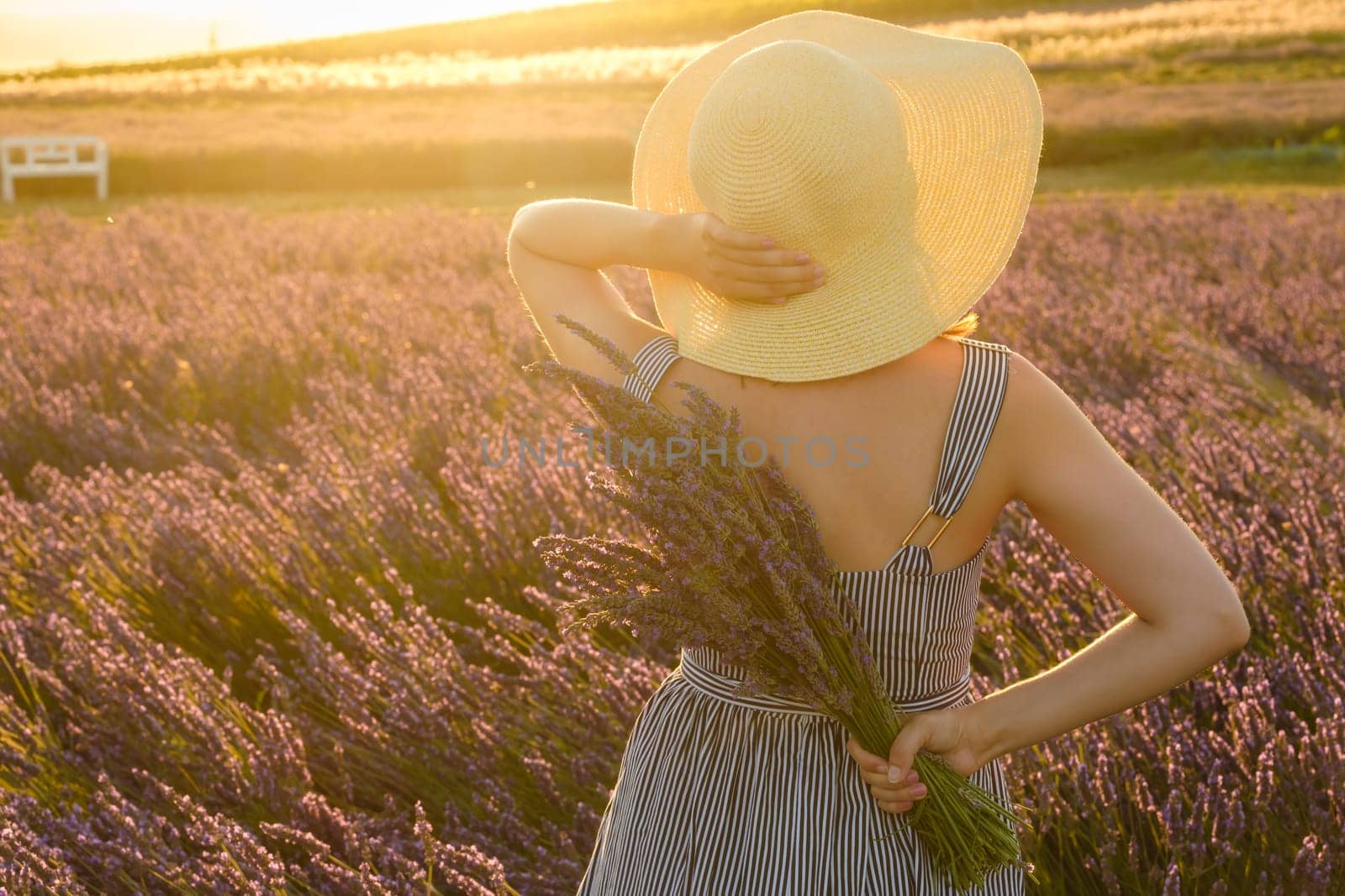 Woman in a straw hat enjoying the view of a lavender field in the light of sunset.