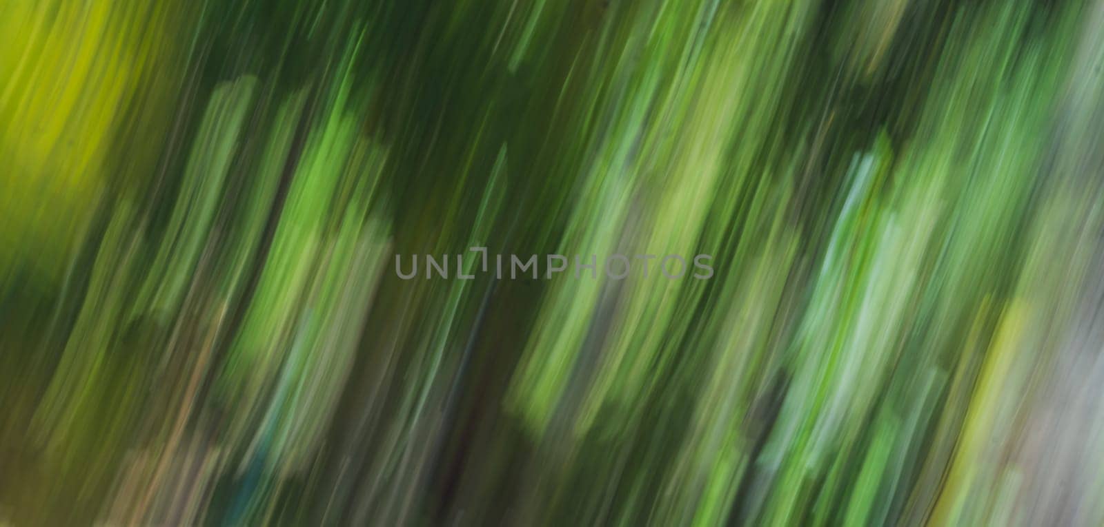 Abstract Nature Blurred dynamic motion lines defocused light bright dark green yellow tropical leaves Wallpaper screensaver design background.