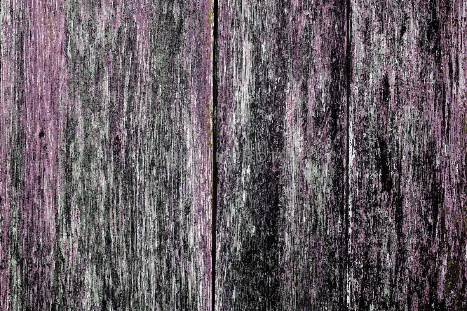 Purple and black colored planks. The paint is almost gone. Wood structure in unusual colors. Meant as grunge background