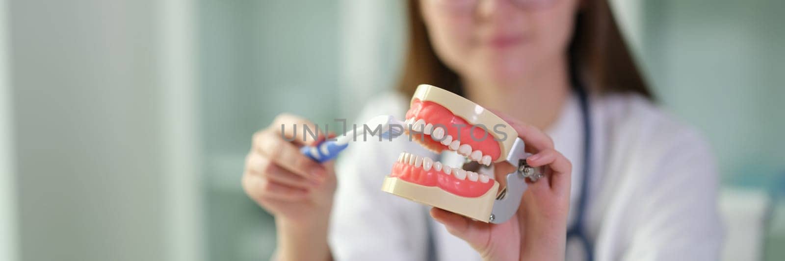 Doctor showing artificial model of human jaw and toothbrush for prevention of caries closeup. Oral care and hygiene concept