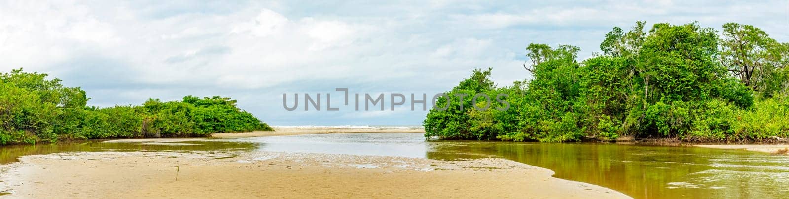 Sargi beach in the distance seen from inside the river that passes between the forest and the mangroves in Serra Grande, Bahia