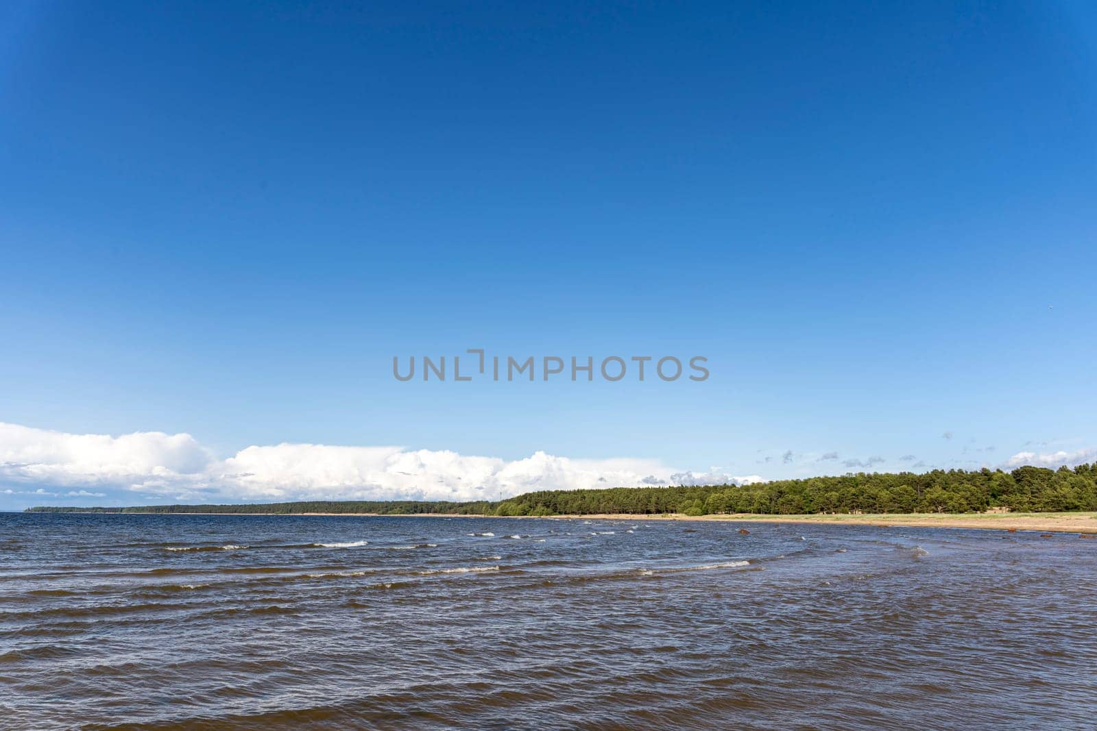 Panorama view of the sea bay and pine forest and blue sky and stones on the sandy shore. Beautiful landscape. Gulf of Finland. Baltic