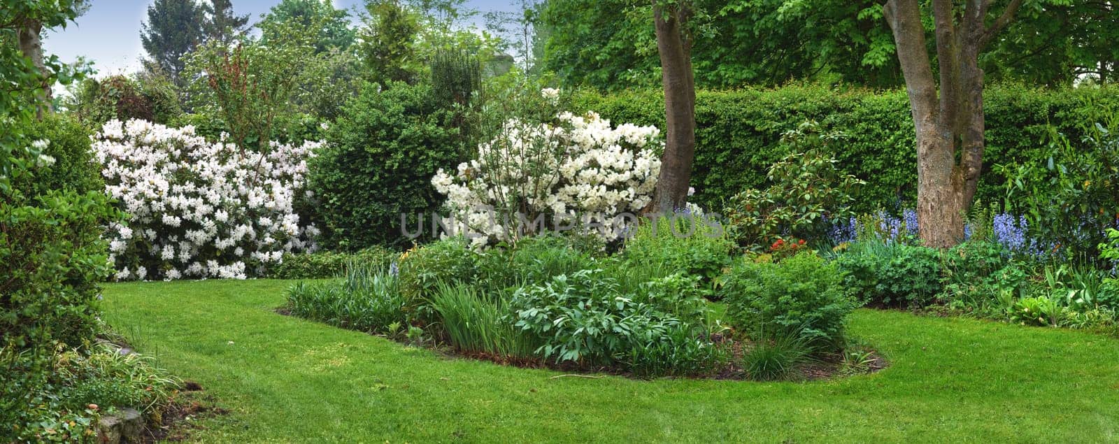 Garden, landscape and plants for spring growth, clean environment and green grass or lawn outdoor. Empty gardening background, group of flowers and leaves in park or backyard for natural or nature.