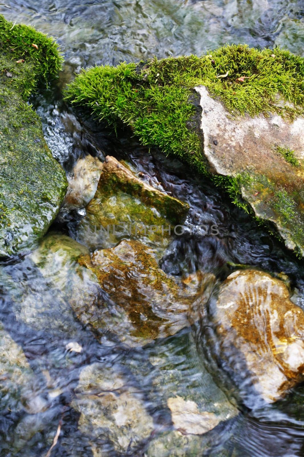 Nature background. Closeup of few rocks with green moss in the stream
