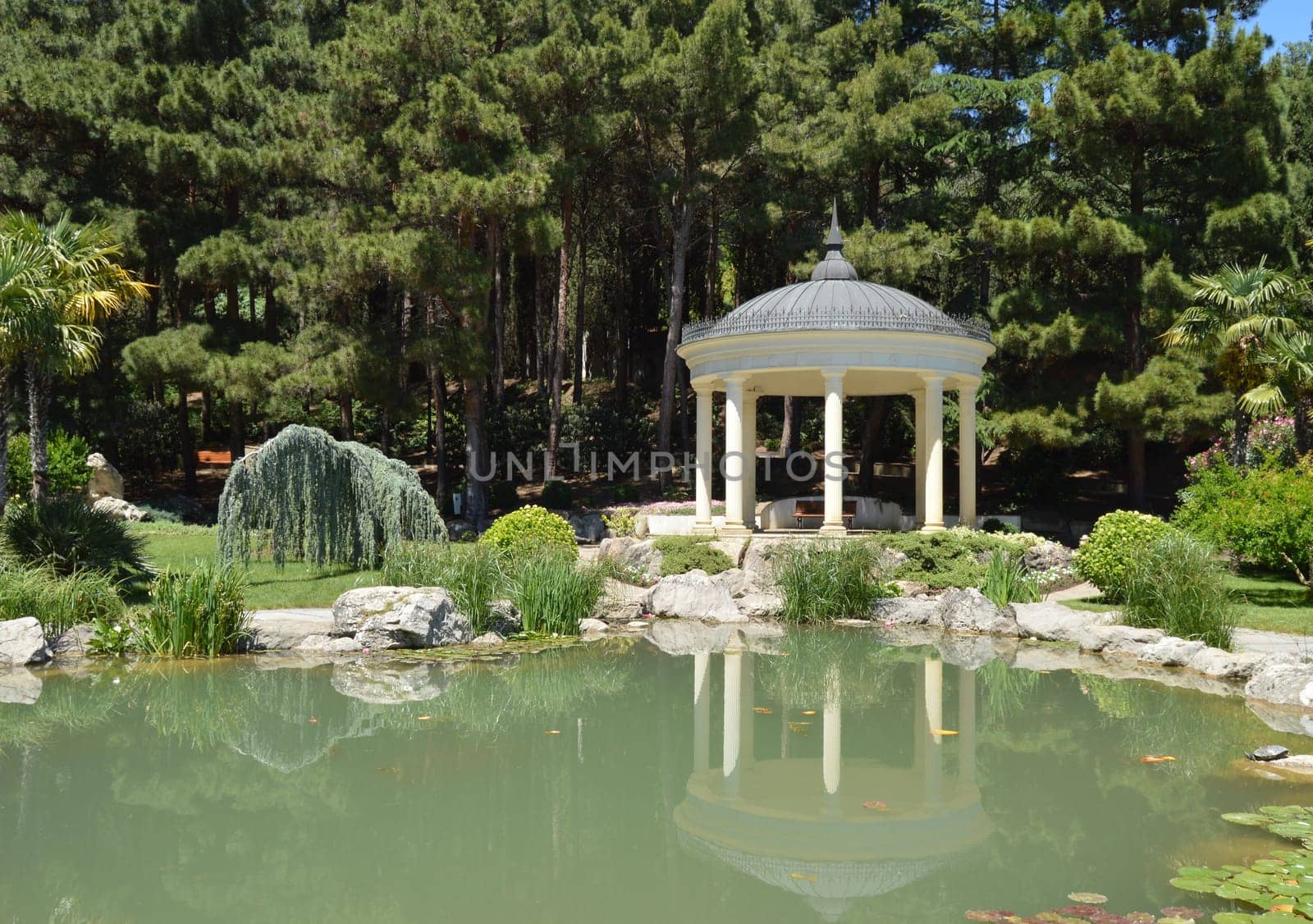 Picturesque view of the round gazebo by the fish pond, sunny summer day by claire_lucia