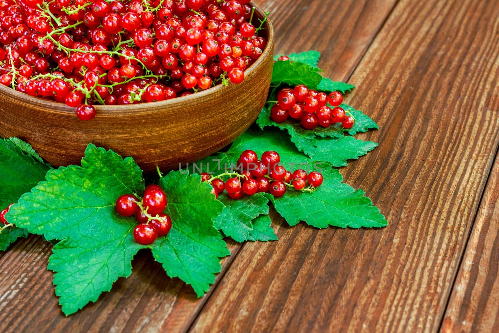 Bowl of freshly picked redcurrants and leaves on a table. Fresh redcurrant berries in the bowl on wooden background