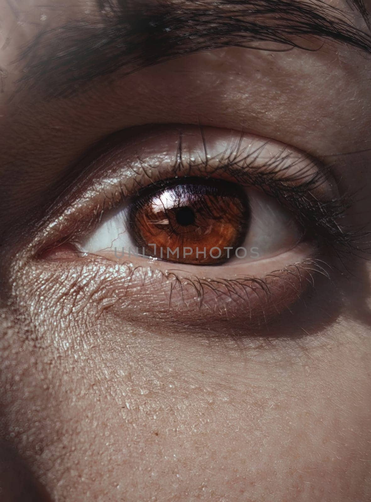 Close woman eye images, beautiful brown color of the iris of the eye. Woman eye images. by Nickstock