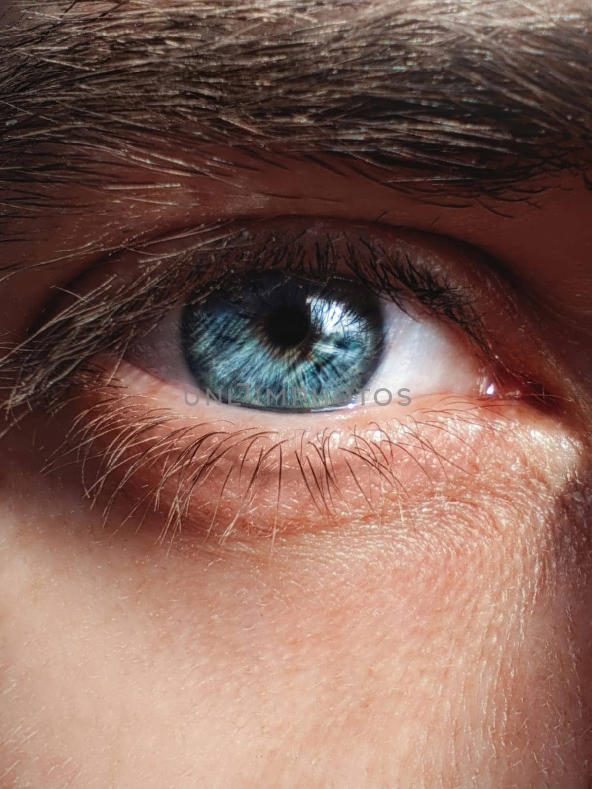 Close eye images, beautiful blue color of the iris of the eye. Man eye images. by Nickstock