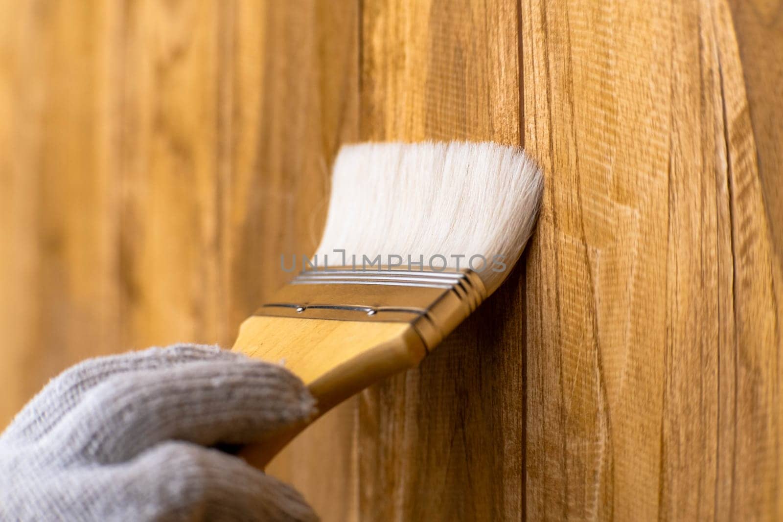 Hand in glove holding brush is applying lacquer or protective varnish on wooden wall. Protect the wood from moisture. by TEERASAK