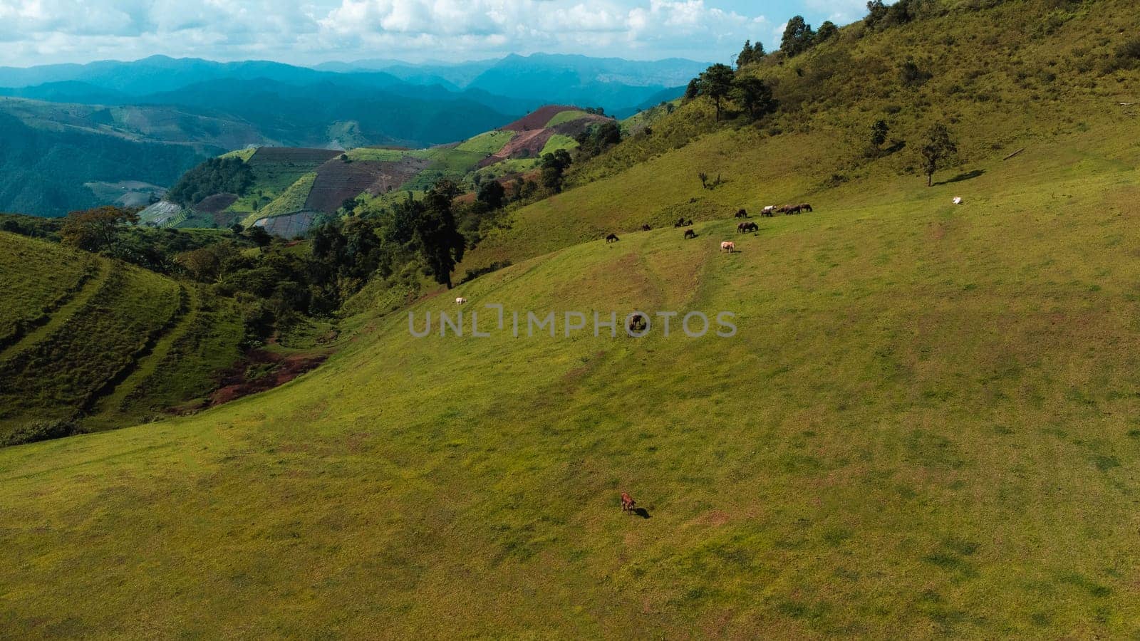 Scenic of idyllic rolling hills landscape with blooming meadows and mountain ranges in the background on a beautiful sunny day with blue sky and clouds in springtime.