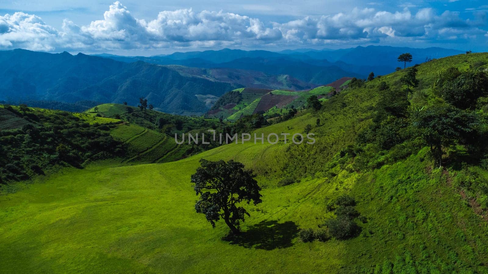 Scenic of idyllic rolling hills landscape with blooming meadows and mountain ranges in the background on a beautiful sunny day with blue sky and clouds in springtime. by TEERASAK