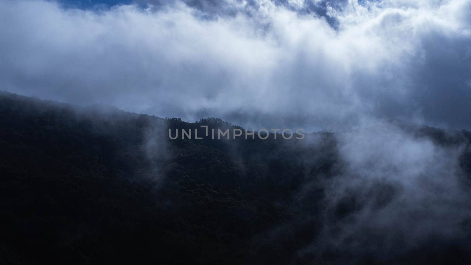 Aerial view of the trees in the valley with fog in the morning. Landscape of misty valley and mountain clouds in thailand. The dawn of the mountains with the sea of mist.