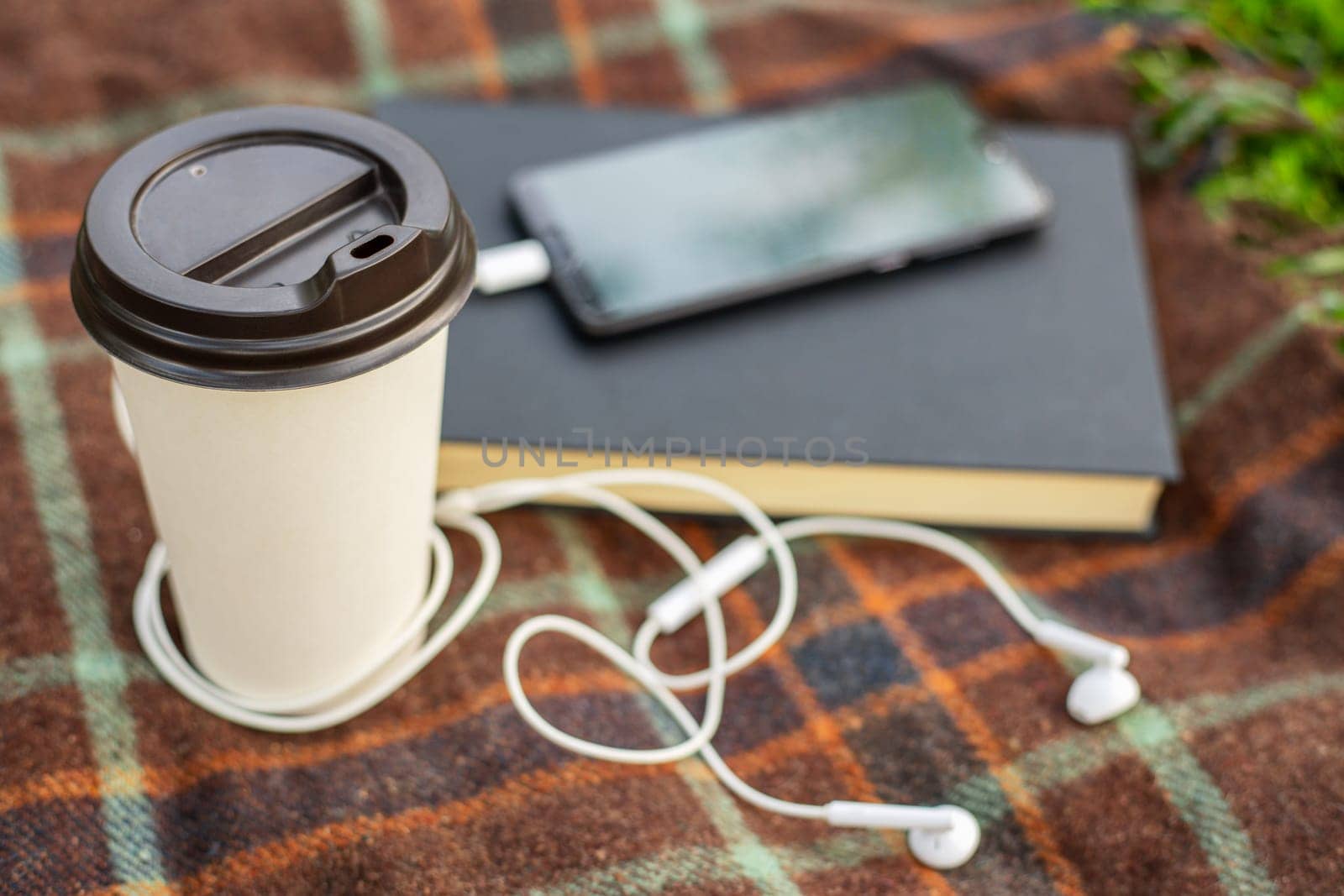 Cup of coffee, book and smartphone with headphones on blanket in the park or garden.
