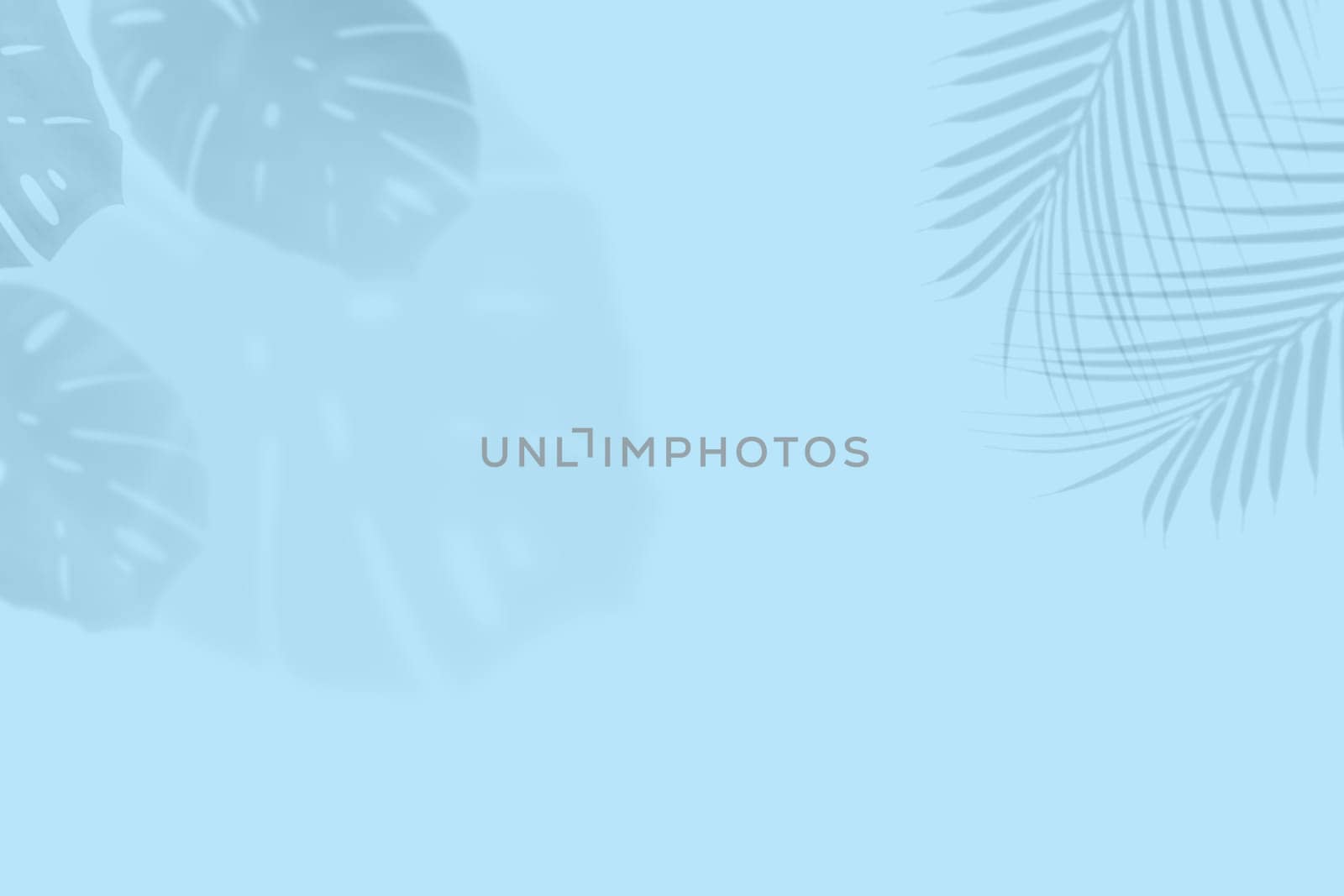 Empty monstera shadow texture pattern cement on blue wall background Summer tropical minimal concept by PhotoTime
