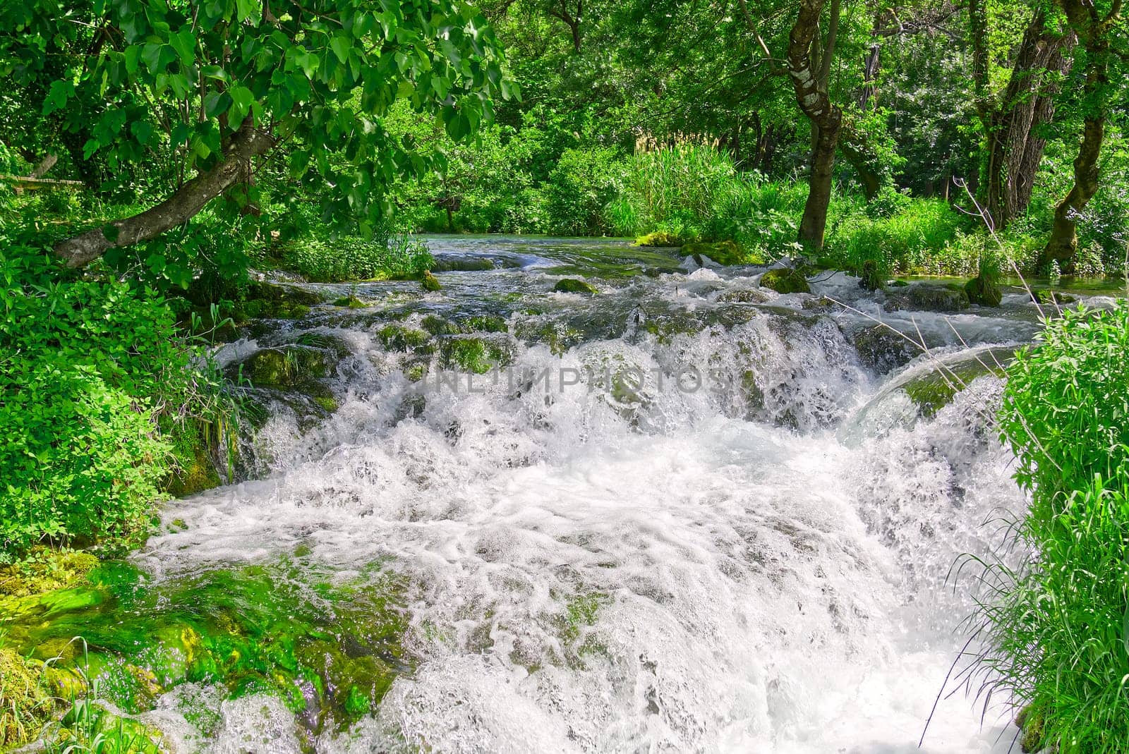 Beautiful Waterfall background in sunny summer day. Beautiful Waterfall In Krka National Park - Croatia, Europe. Krka river waterfalls in the Krka National Park