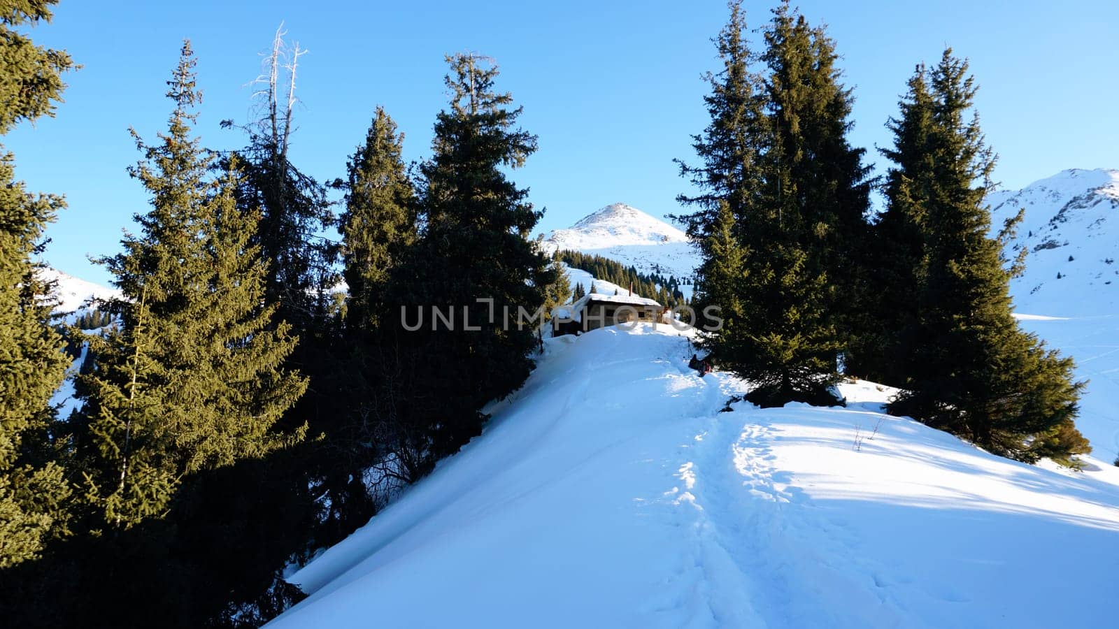 An abandoned house in the snowy mountains. Christmas trees and bushes grow. Clear sky and moon. A small moon in the distance above the top of the peak. There is a lot of snow on the roof. Almaty