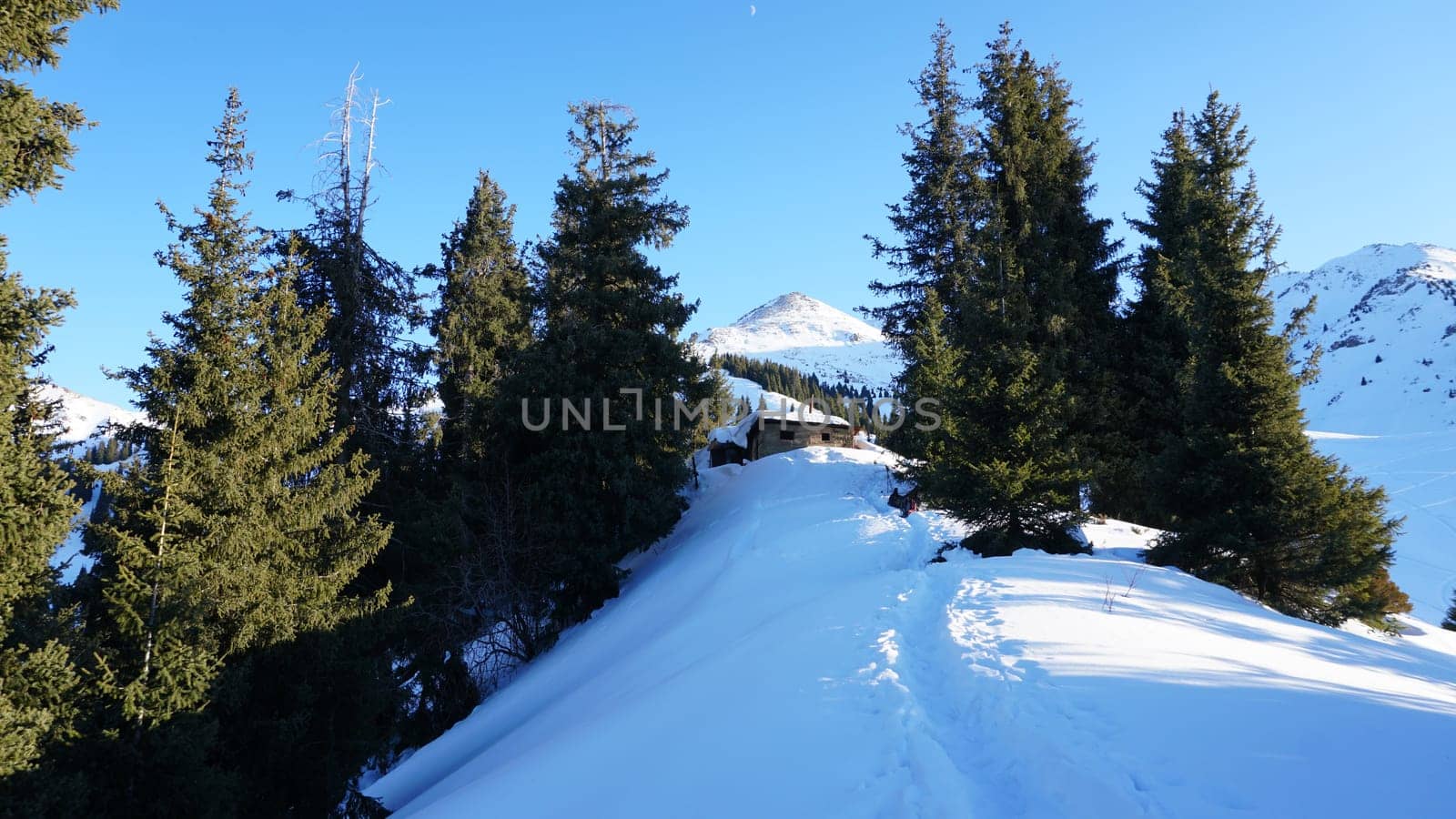 An abandoned house in the snowy mountains. Christmas trees and bushes grow. Clear sky and moon. A small moon in the distance above the top of the peak. There is a lot of snow on the roof. Almaty