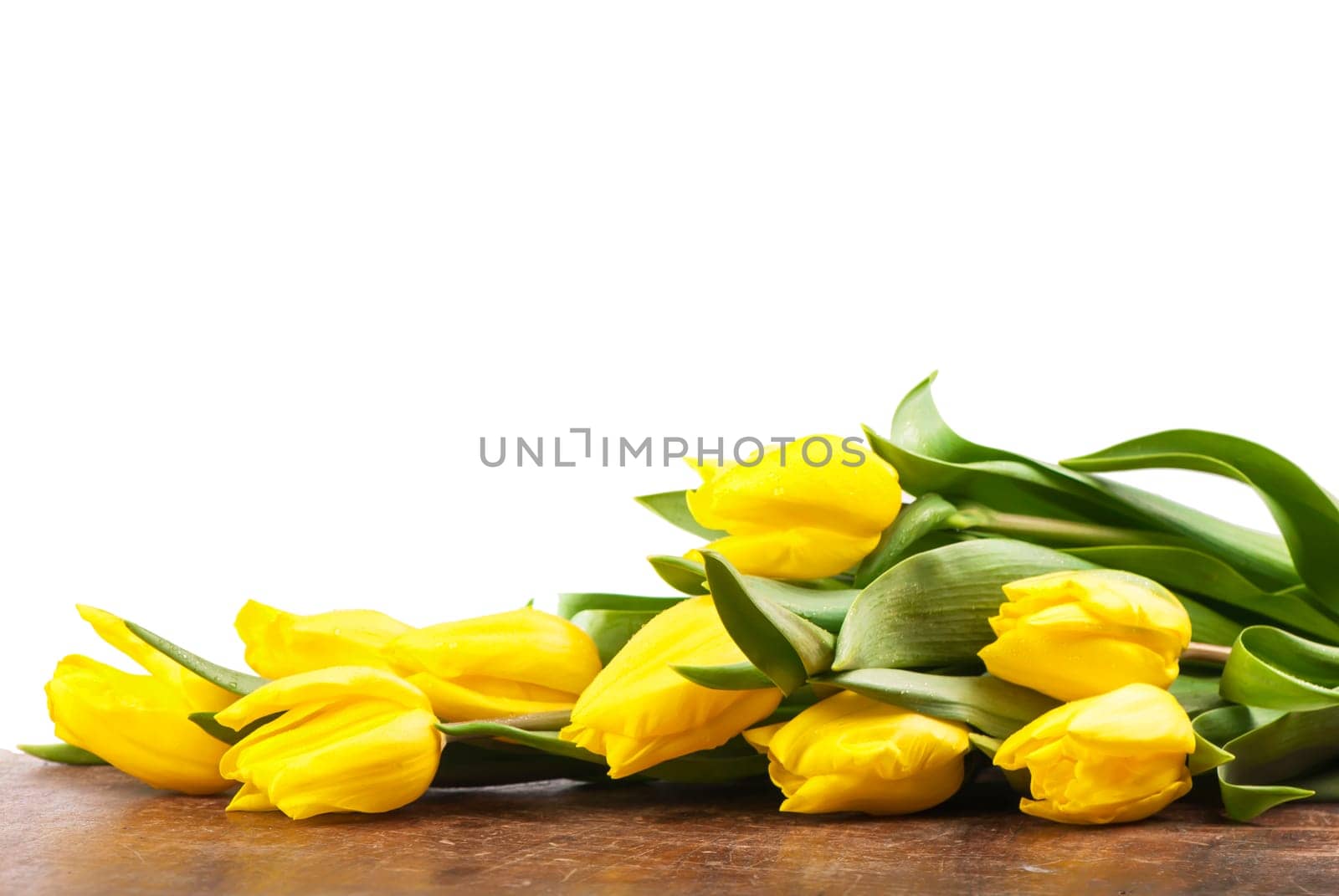 yellow tulips lie on wooden board on white background