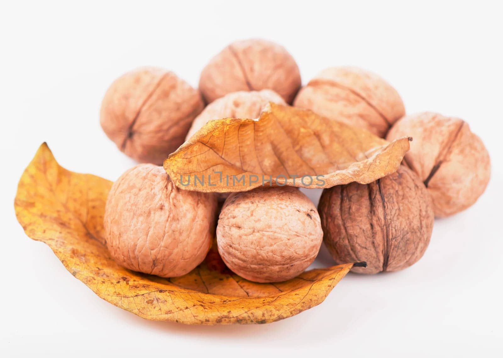 Fresh ripe Walnut with dried leaves isolated on a white background. by aprilphoto