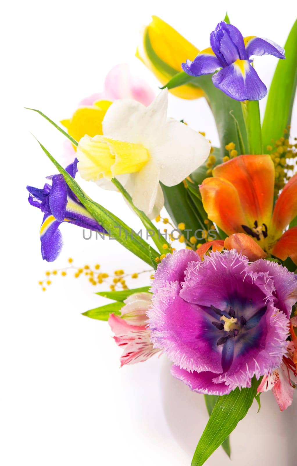 Bright spring bouquet in a white vase. spring flowers, daffodils, tulips, hyacinths, irises and mimosa isolated on a white background by aprilphoto