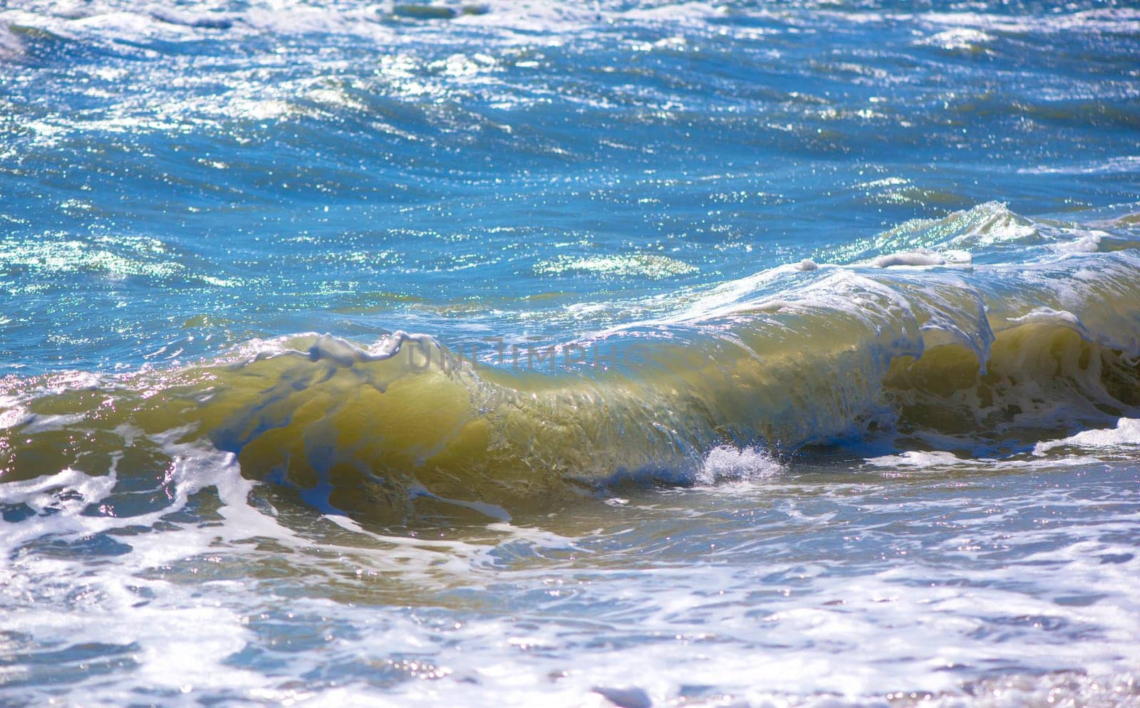 sea, wave, seagulls on the sea coast, a beach close up