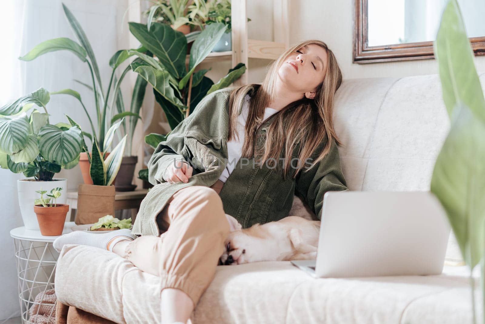 Freelance woman falling asleep with dog and tired, while working from home office at laptop computer. Girl sitting on couch in living room with plants. Distance learning and online education.