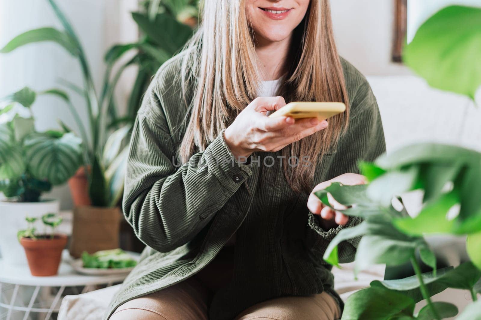 Cropped woman sitting on the couch and taking photo of a lot of plants. Cozy home and urban jungle concept. Woman with mobile cellphone and plants by Ostanina
