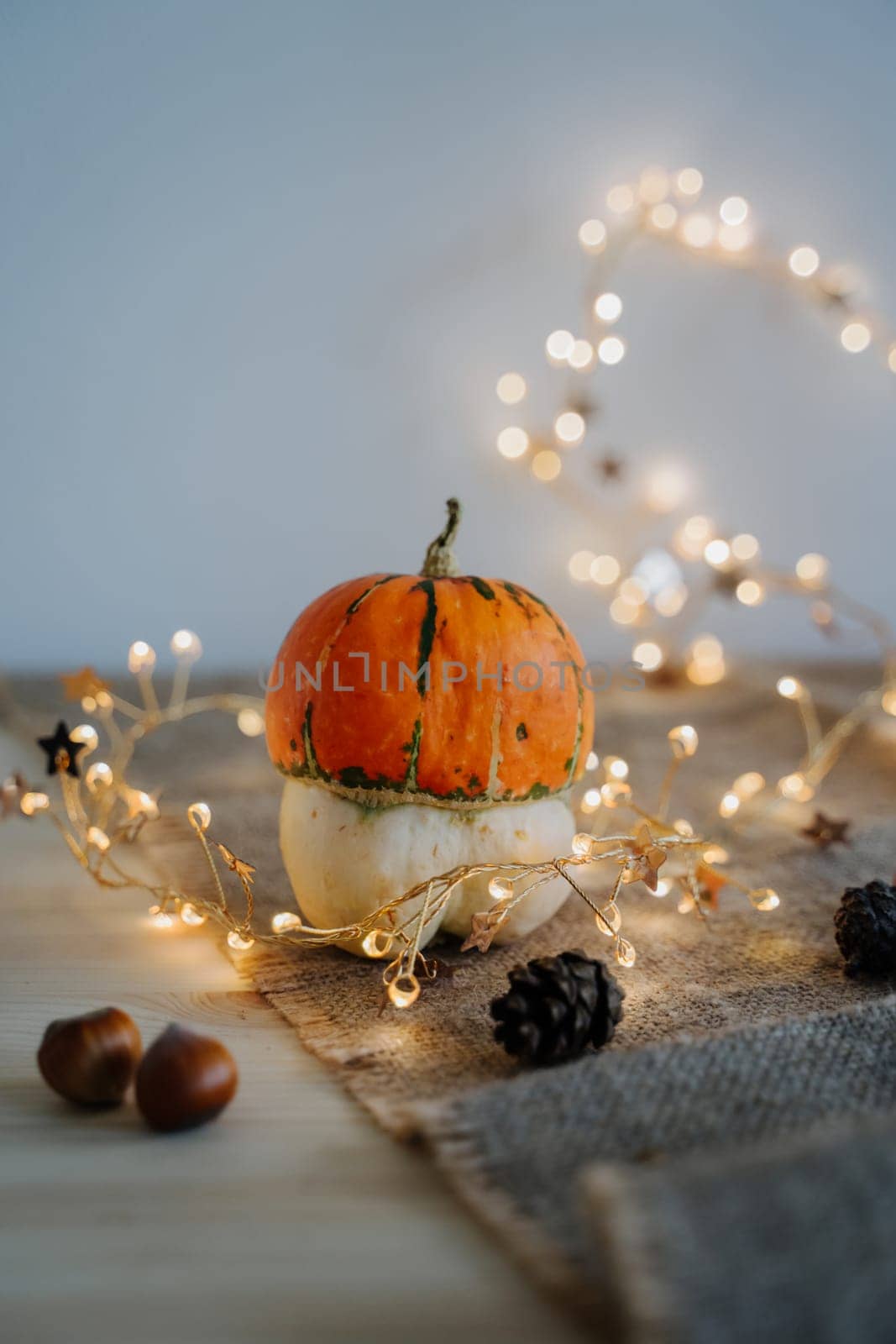 Pumpkin and nuts. Yellow lanterns. Bokeh. Thanksgiving Day. Festive composition. Holiday photography. Autumn composition. Decorative pumpkin. Vertical image.