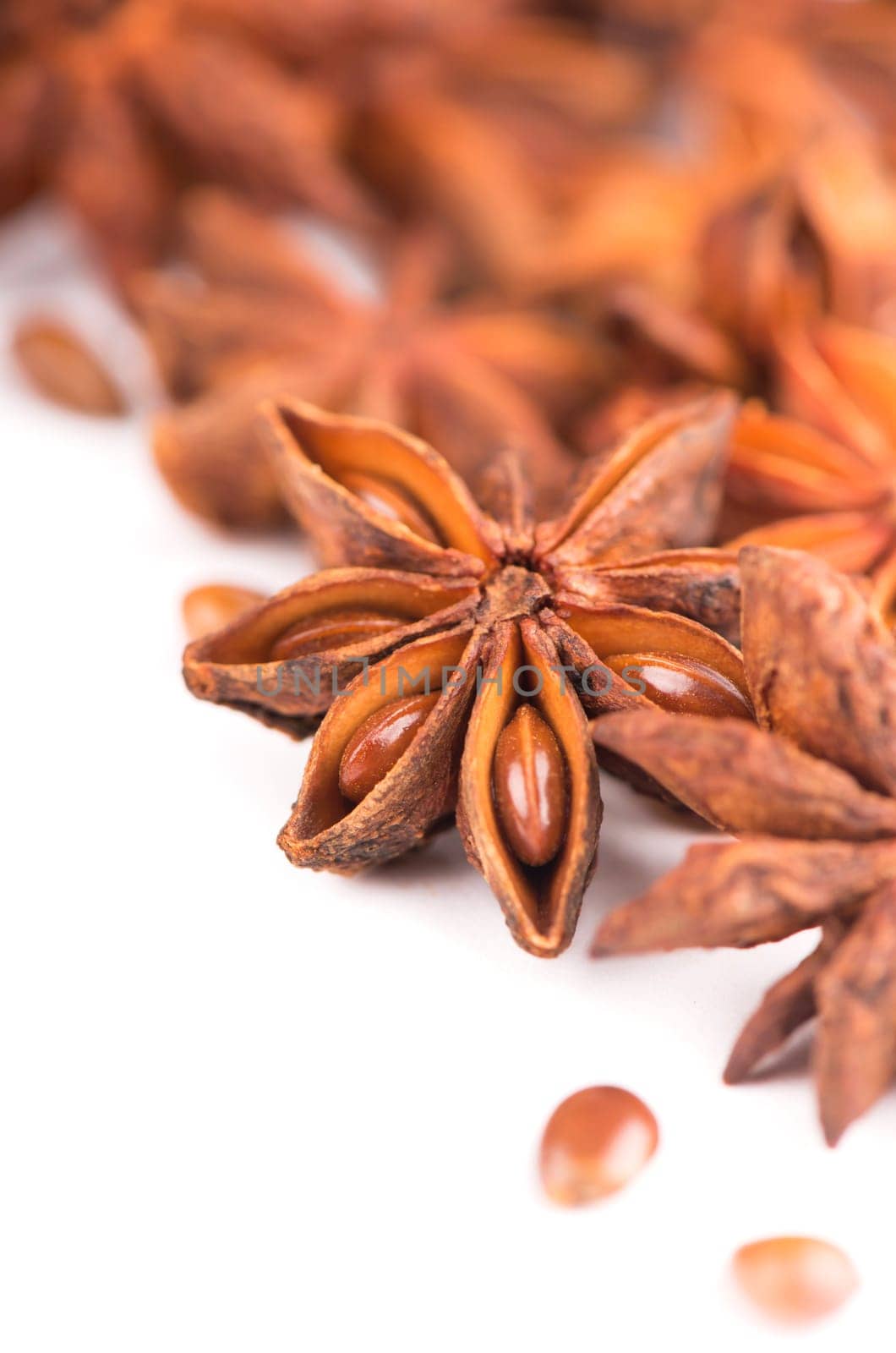 Whole Star Anise isolated on white background with shadow