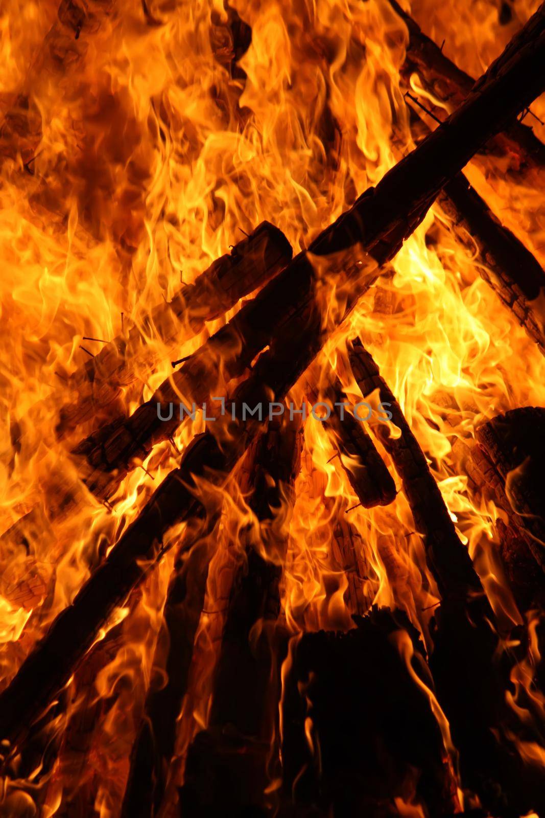 Bright bonfire flame outdoors. Firewood and wooden sticks burning in fire.