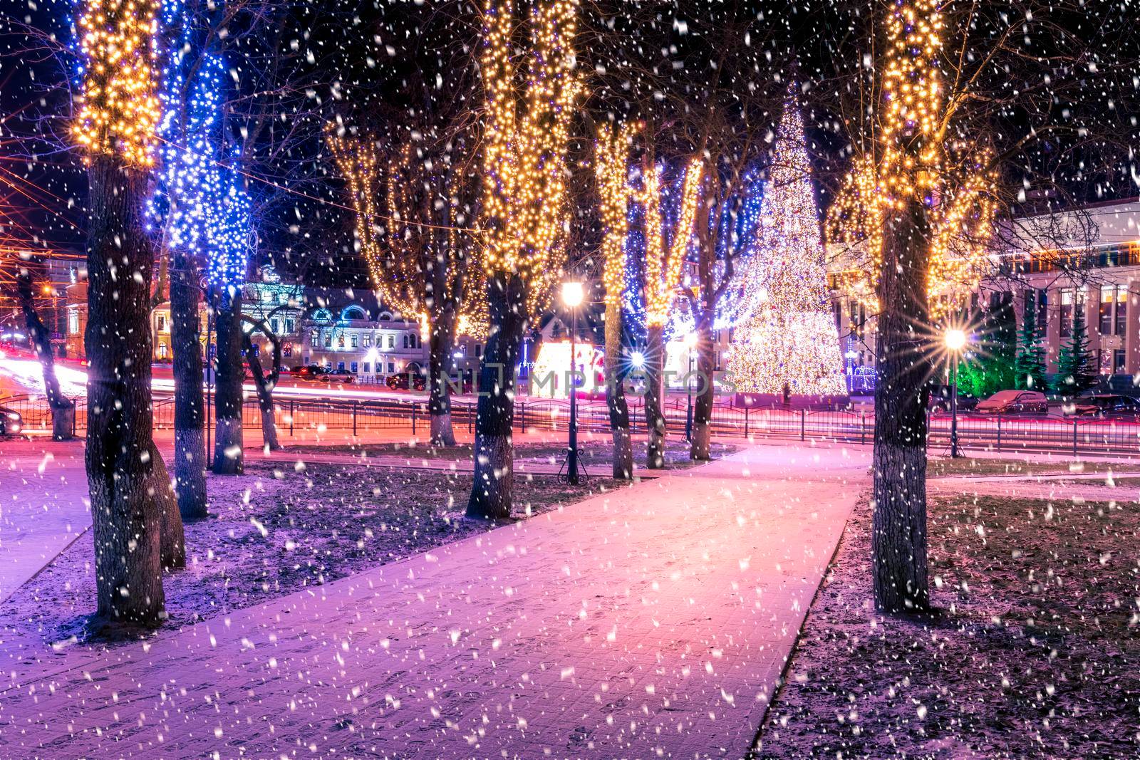 Snowfall in a winter night park with christmas decorations, lights, pavement covered with snow and trees. by Eugene_Yemelyanov