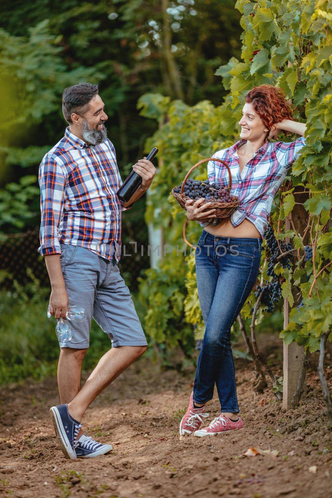 Beautiful smiling couple are having fun and tasting wine at a vineyard. A man is holding a bottle of wine and a woman is holding basket with grapes.