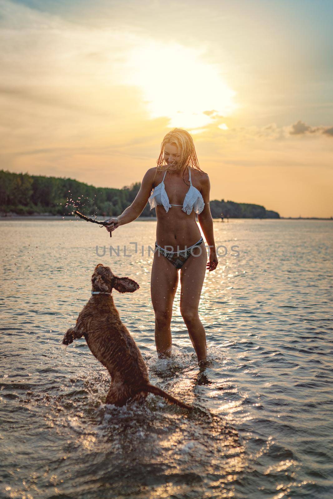 A young happy woman has a great time at the beach. She is standing the water and playing with her dog. Sunset over water.