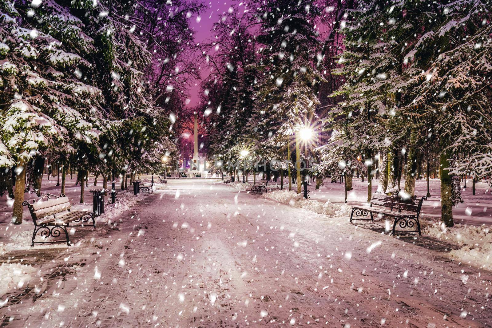 Snowfall in a winter park at night with christmas decorations, lights and  pavement covered with snow. Falling snow.