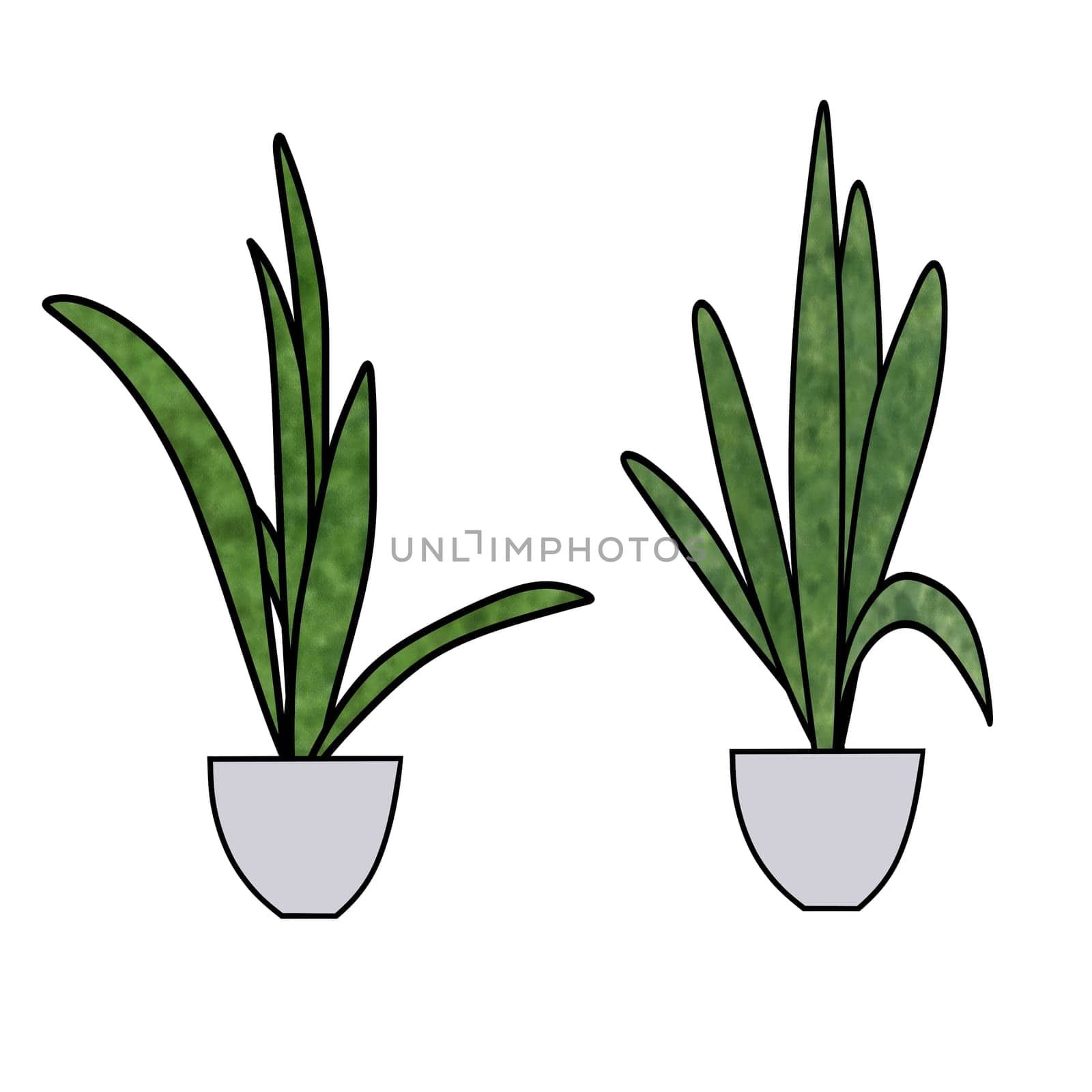 Drawing of plants in a pot isolated on white background for nature decoration and springtime concept