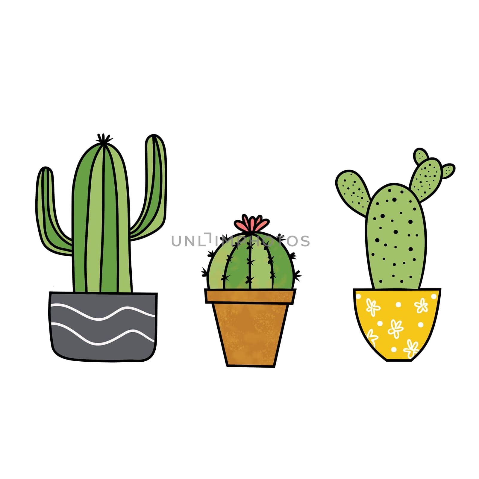 Drawing of cactus in a cute pot isolated on white background for nature decoration and springtime concept by iamnoonmai