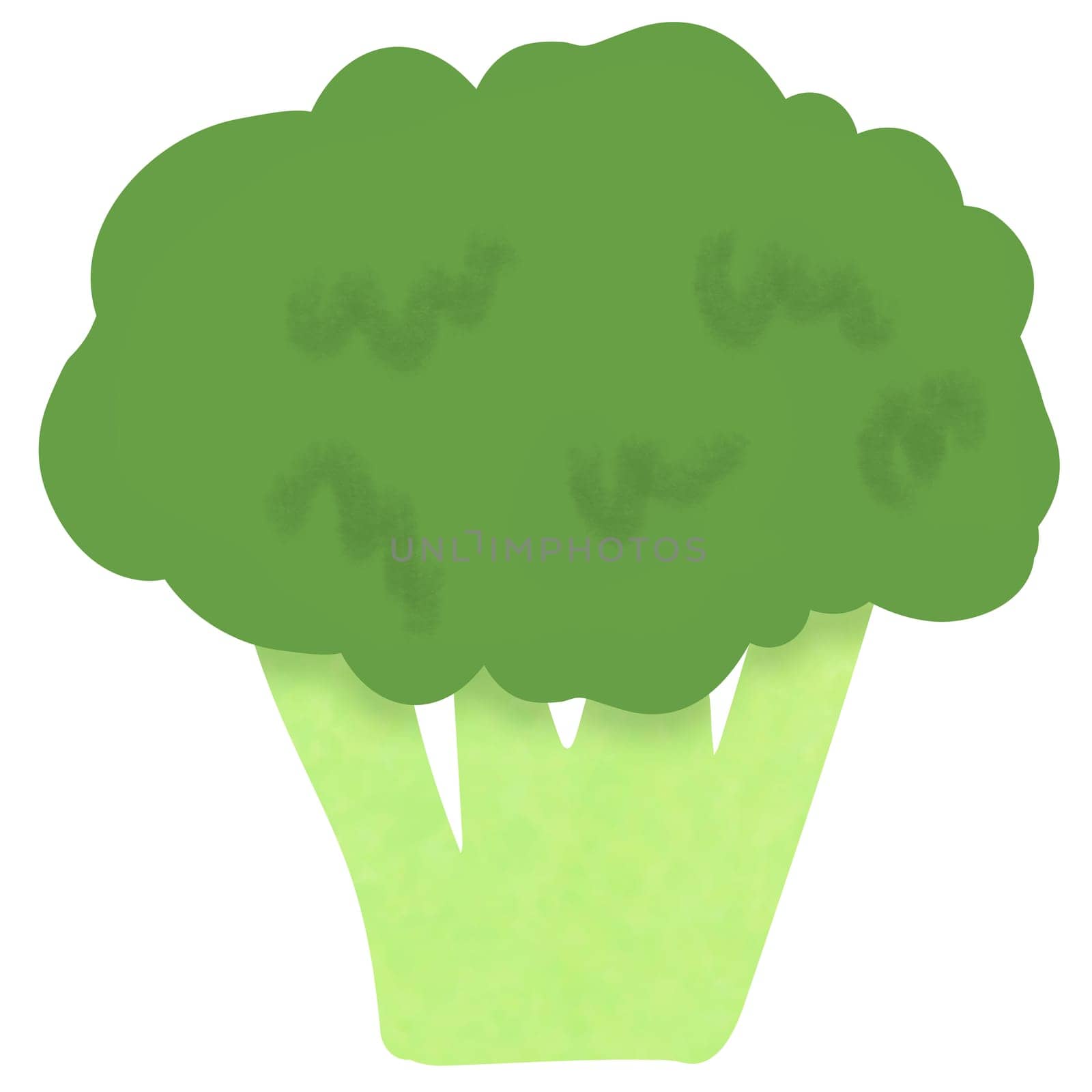 Drawing of broccoli isolated on white background for usage as an illustration, food, vegetables and eating concept by iamnoonmai