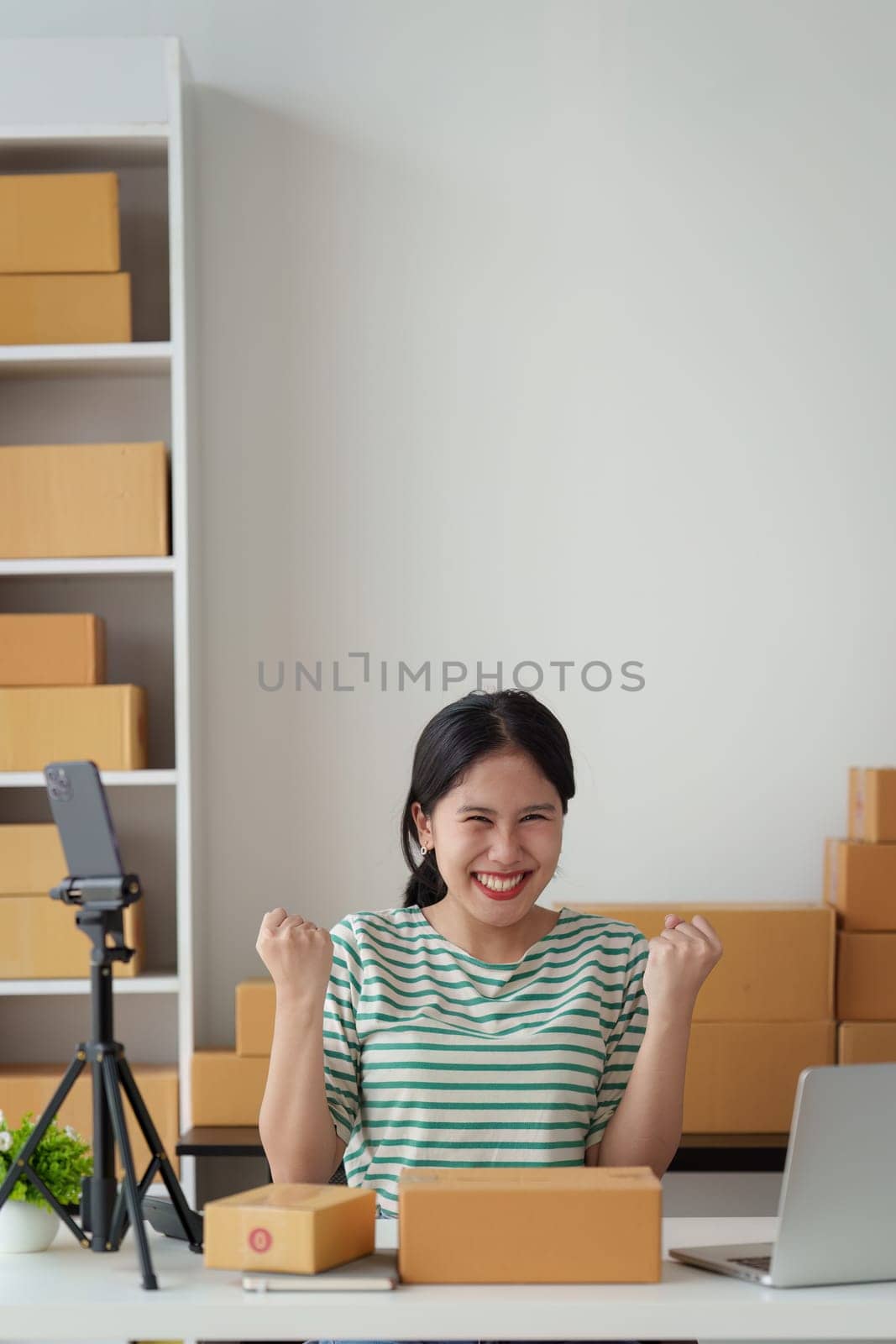 Businesswoman with Laptop and Parcel Box. A Symbol of SME Success in E-Commerce