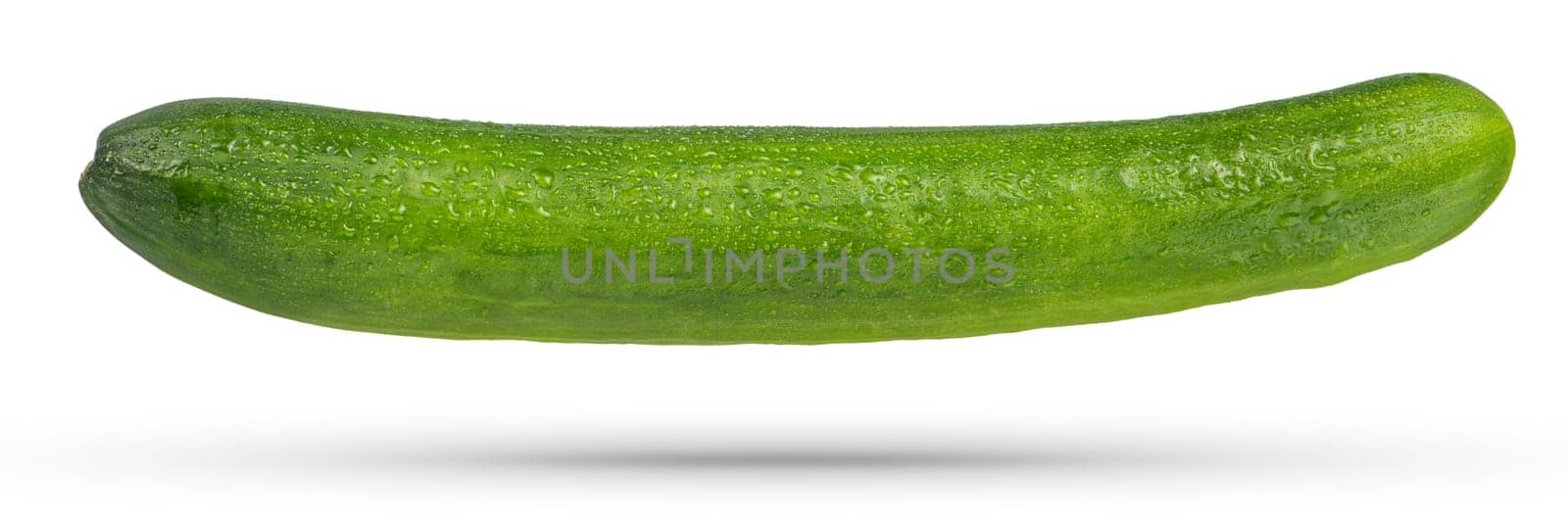 Flying vegetables. Whole green cucumber on a white isolated background. A cucumber hangs or falls casting a shadow on a white background. High quality photo