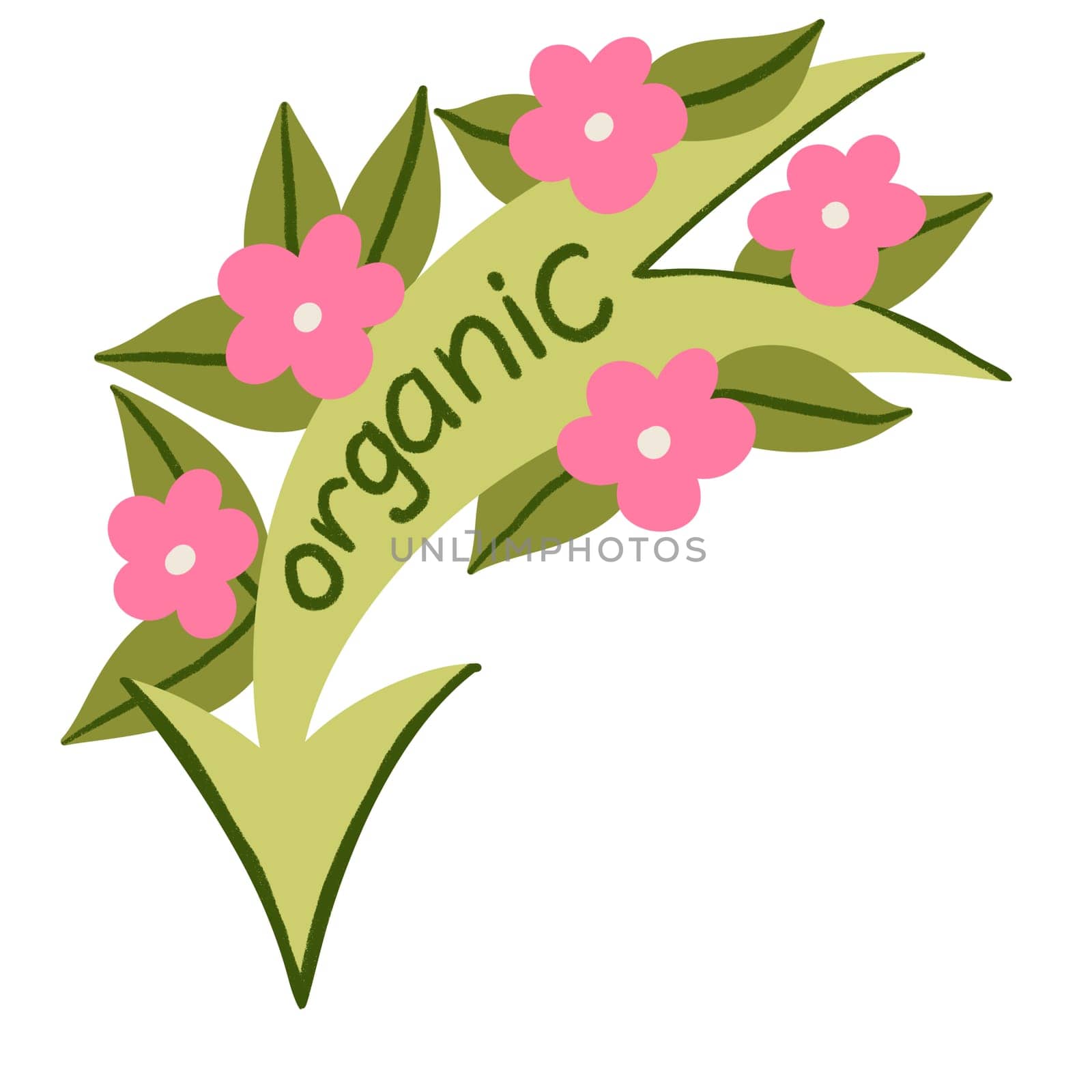 Hand drawn illustration of organic green label sticker with green leavespink flowers. Nature ecological environmental sign element, lime leaf branch, hand lettering words, farm market food