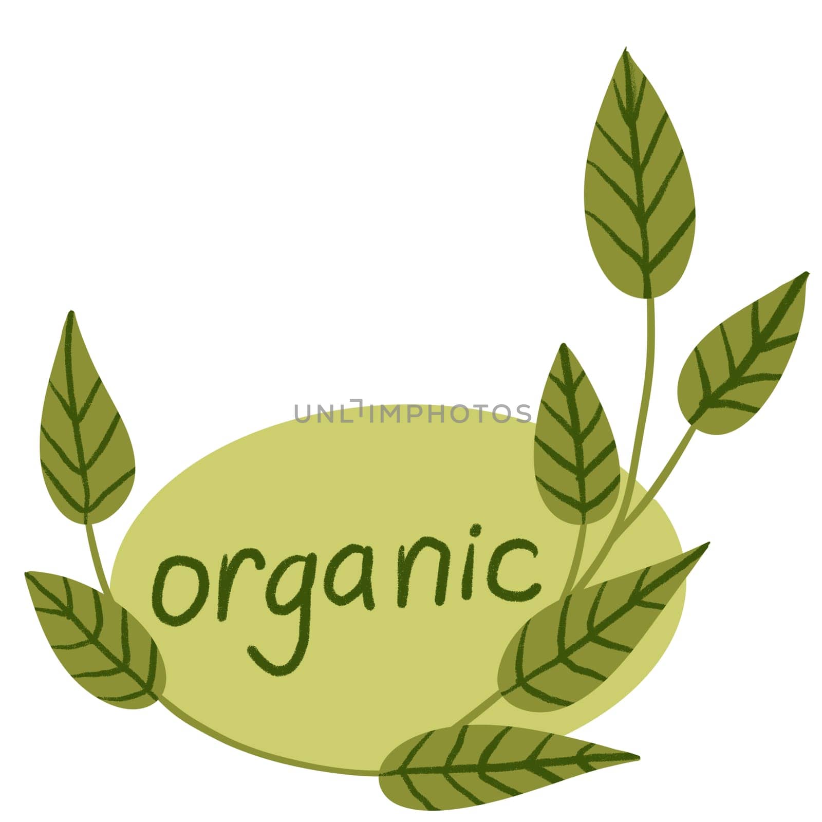 Hand drawn illustration of organic green label sticker with green leaves. Nature ecological environmental sign element, lime leaf branch, hand lettering words, farm market food