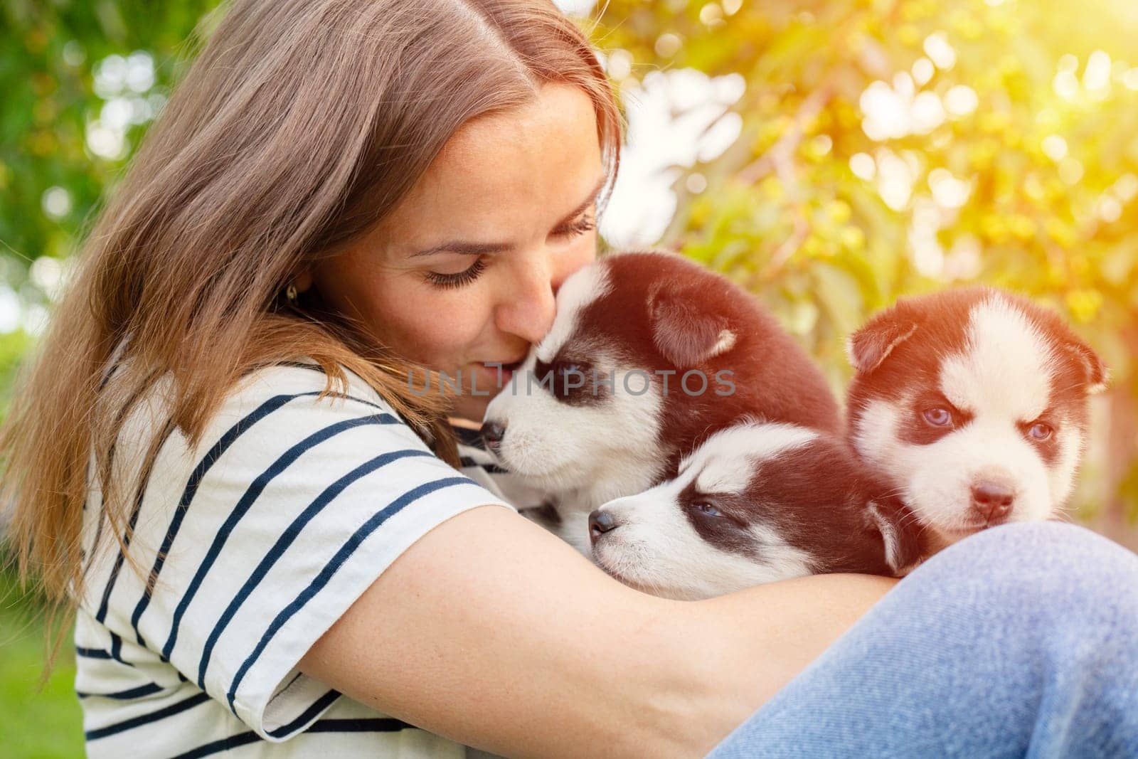 Woman holding three wonderful purebred husky puppies in her hands outdoors. A woman huging husky puppies.