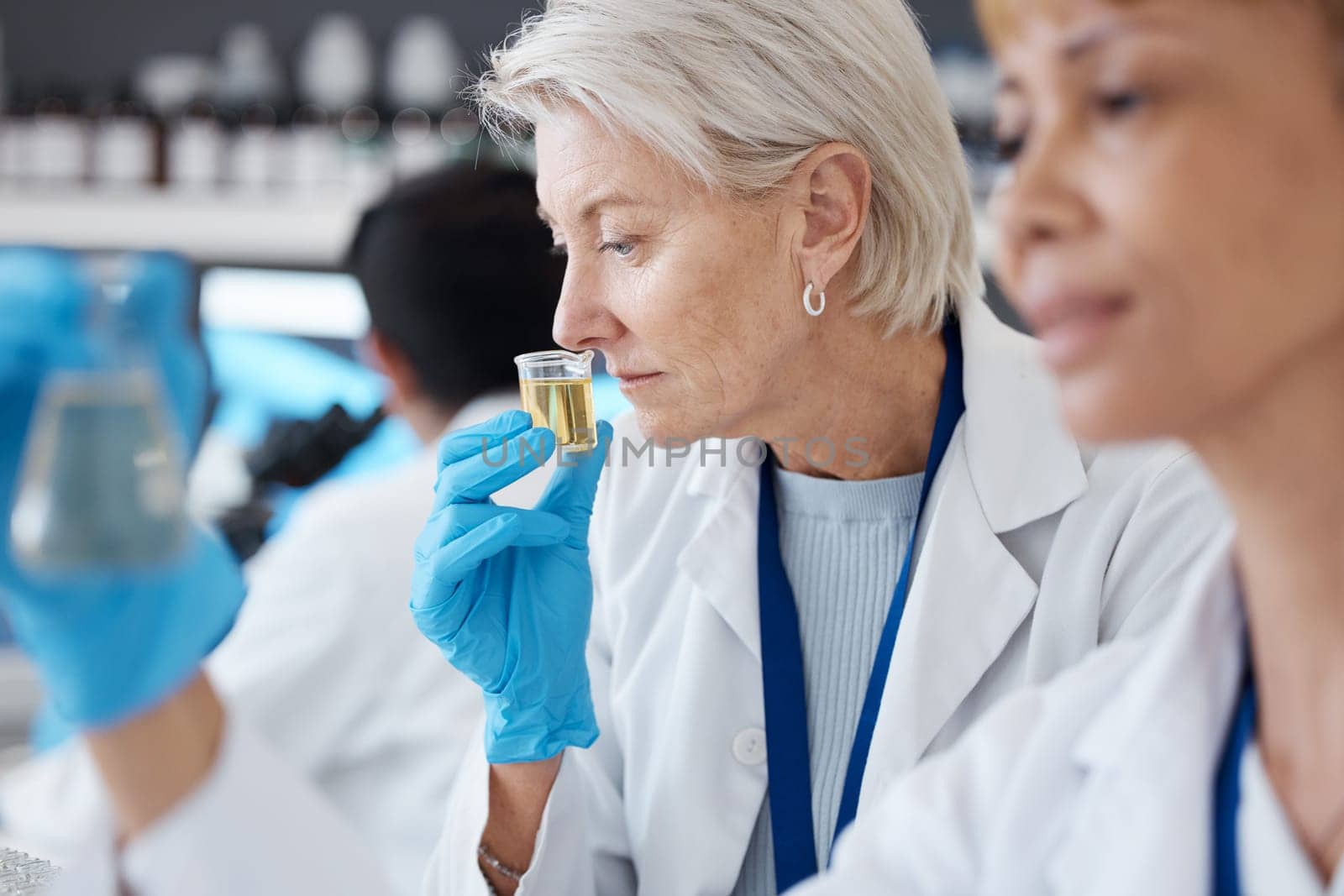Essential oil, development and scientist smell sample in a lab doing research of organic and natural fragrance. Serum, treatment and collagen expert working on a skincare, perfume or beauty product.