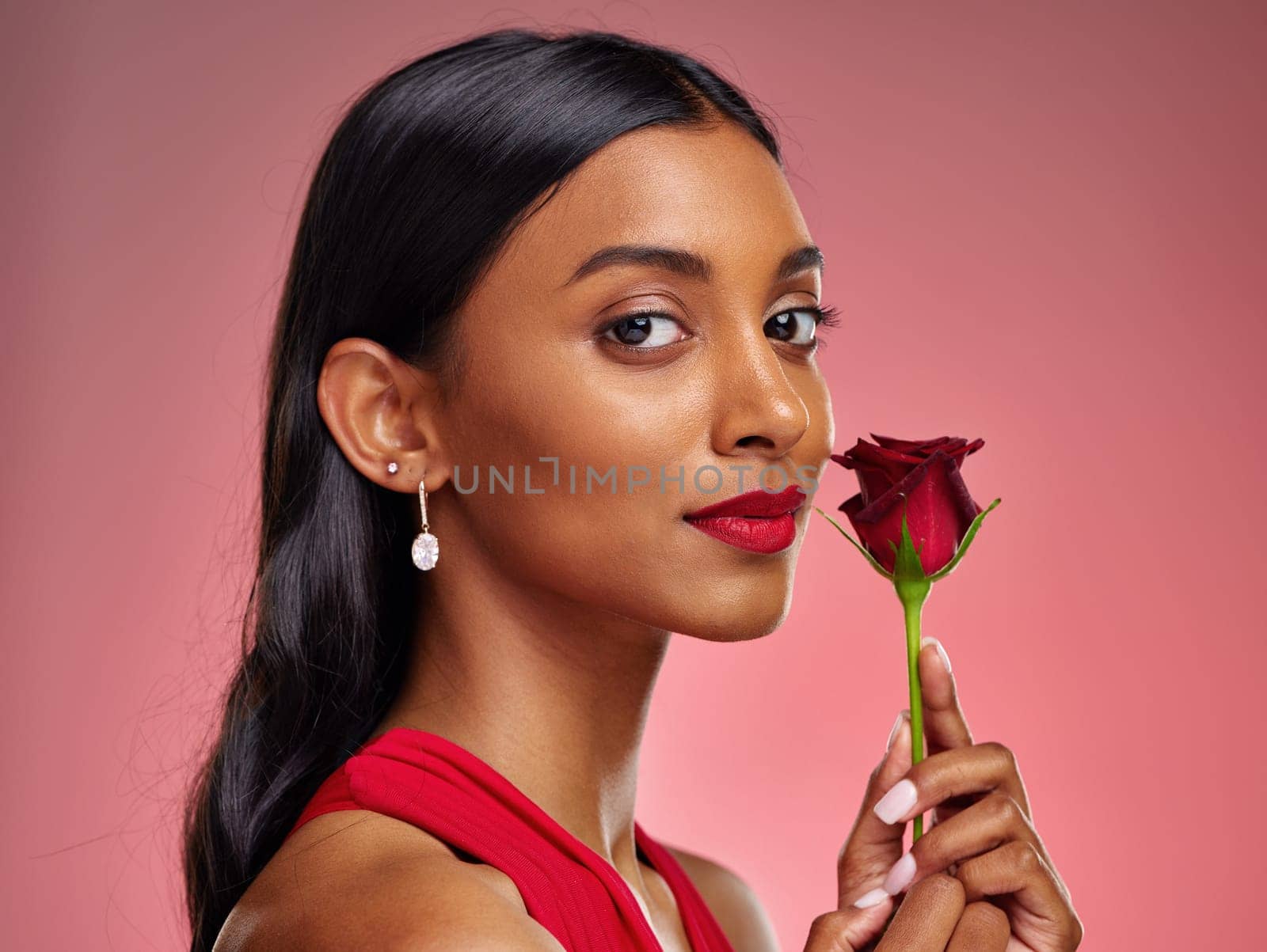 Beautiful, portrait and an Indian woman with a rose on a studio background for valentines day. Serious, model and face of a young girl with a flower for romance or love isolated on a backdrop.