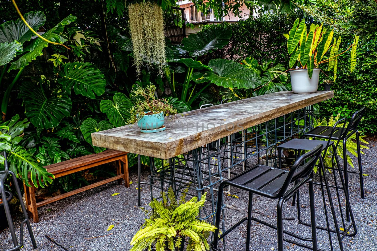 A relax corner in the garden park with bench landscape object funiture.