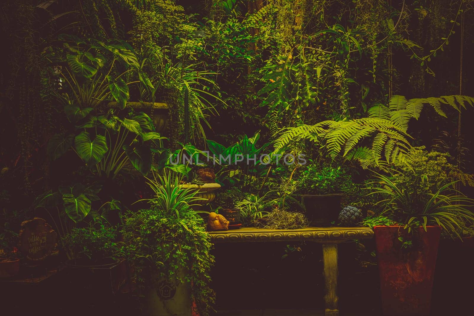 A relax corner in the park with stone bench over plant and tree background