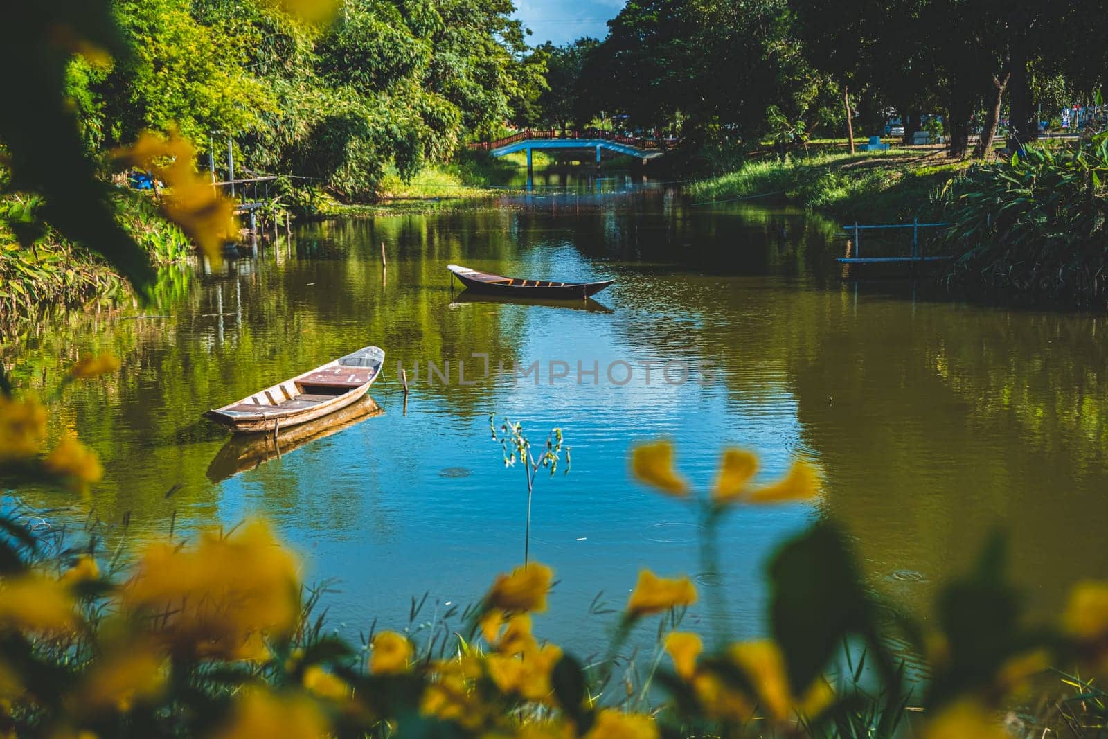 outdoor lifestyle kayaking at mangrove forest on summer vacation